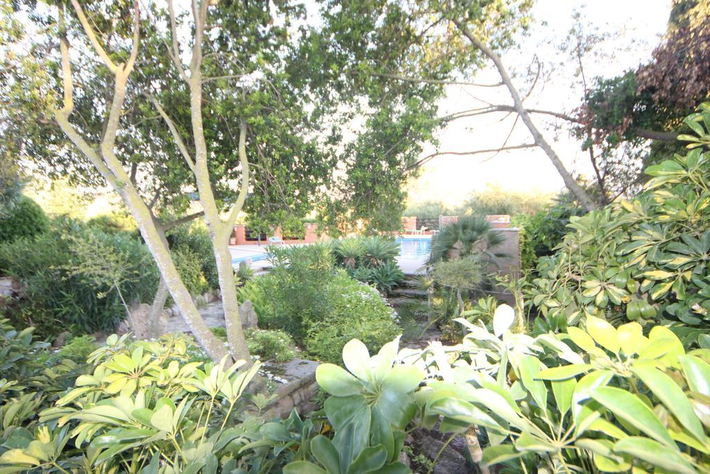 Finca Sabor